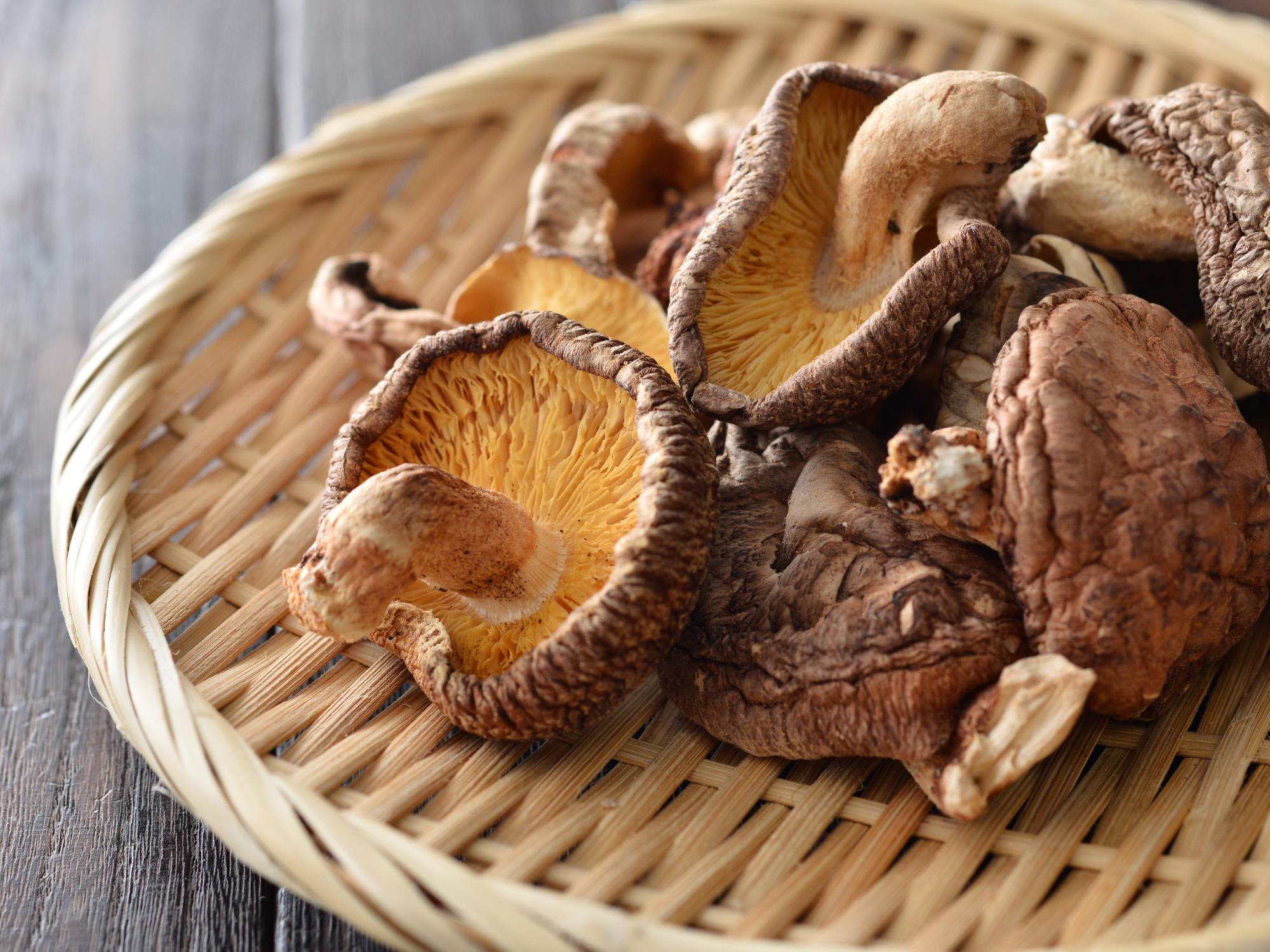 Vitalpilz-Shiitake