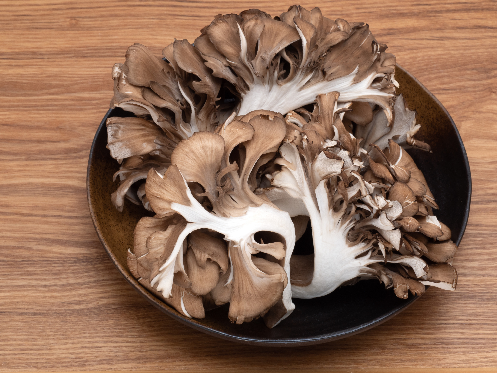 Vitalpilz-Maitake